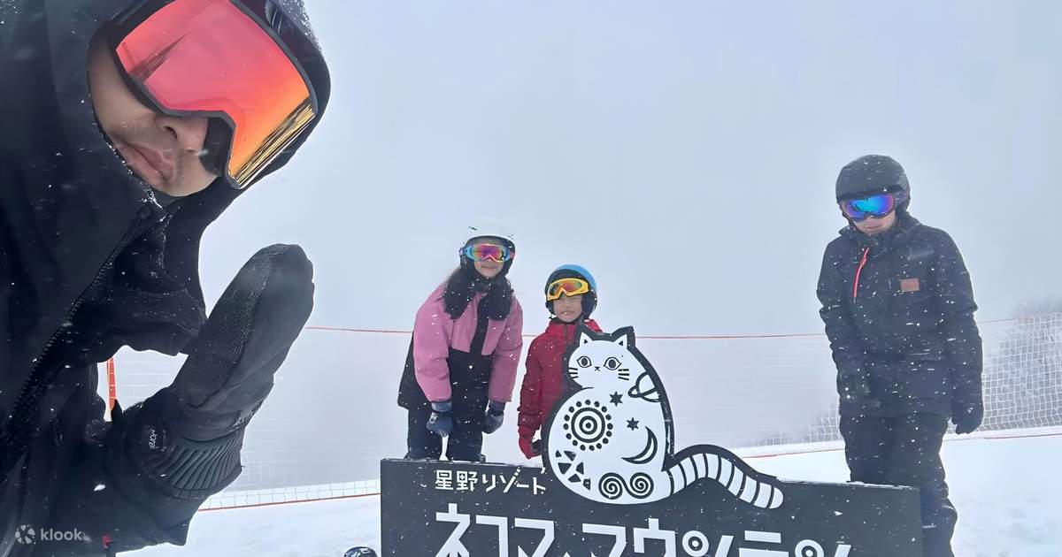 仙台蔵王NEKOMA Mountainスキー